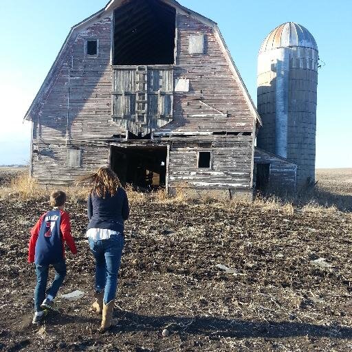 Kathy D farms, raises kids, cows, organic food, clean energy in Big Stone Co MN.