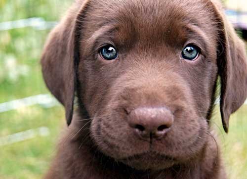 Cute Pictures, 365 Days a Year!  Send Requests and/or Submissions to: CutePictures365@gmail.com                Disclaimer: We claim no rights to pictures.