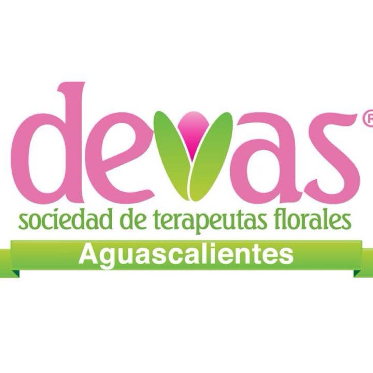 Escuela especializada en Terapia Floral.
Avalada por la SEP y STPS.