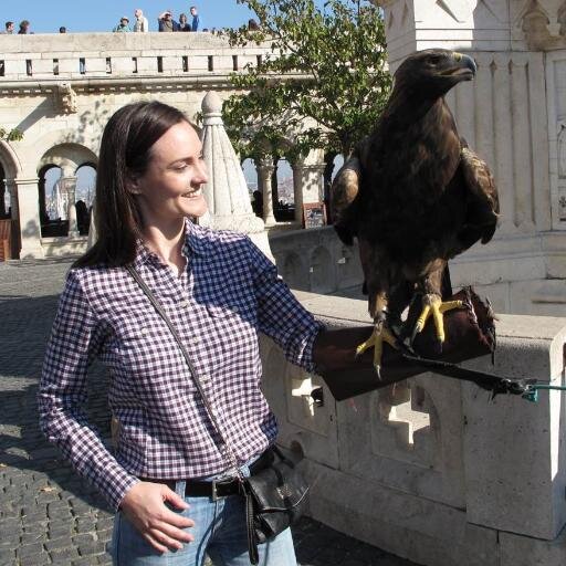 KaeKis's profile picture. Data storyteller professional who loves music, rugby and life.