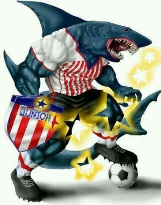 IDitta's profile picture. 