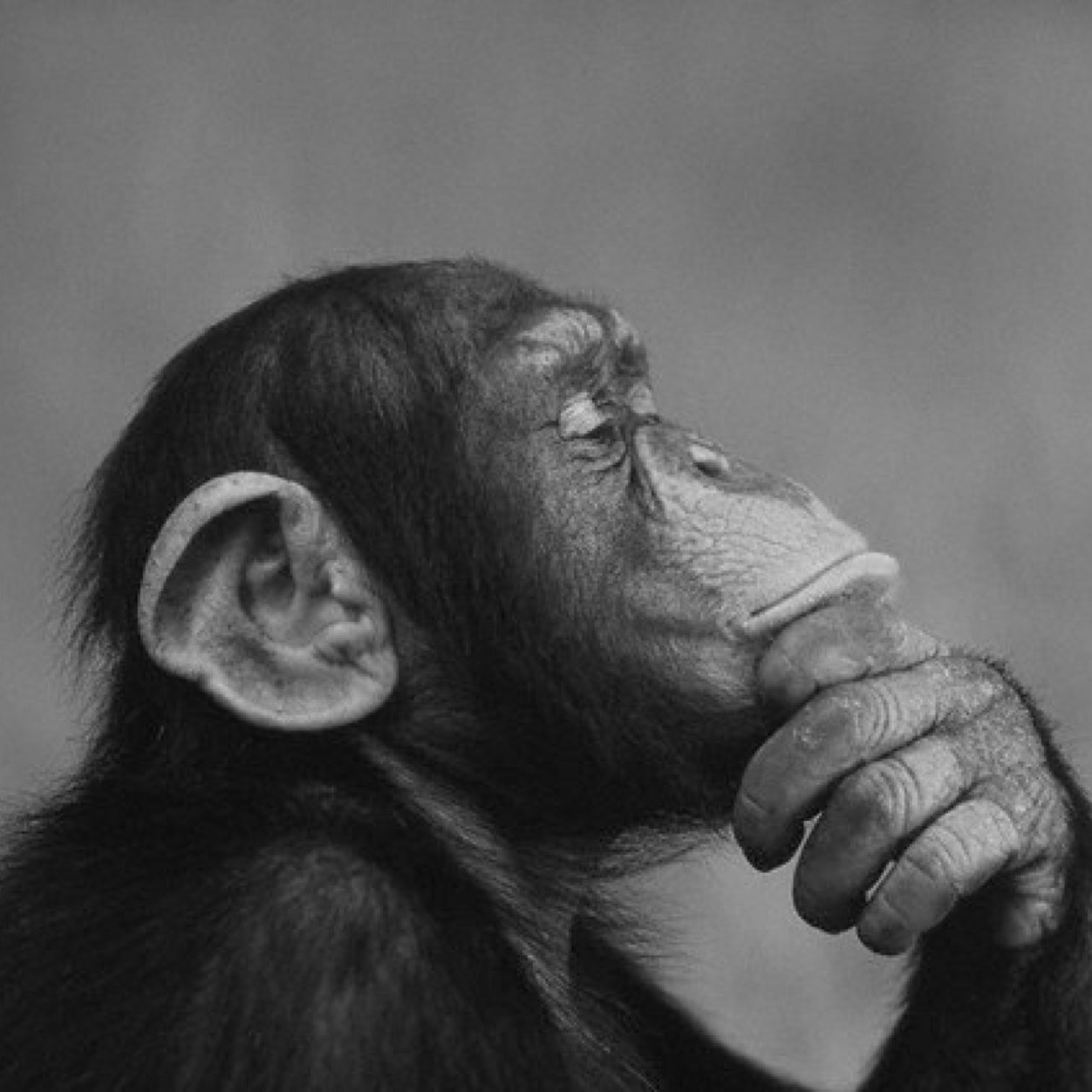 1nacho566's profile picture. 