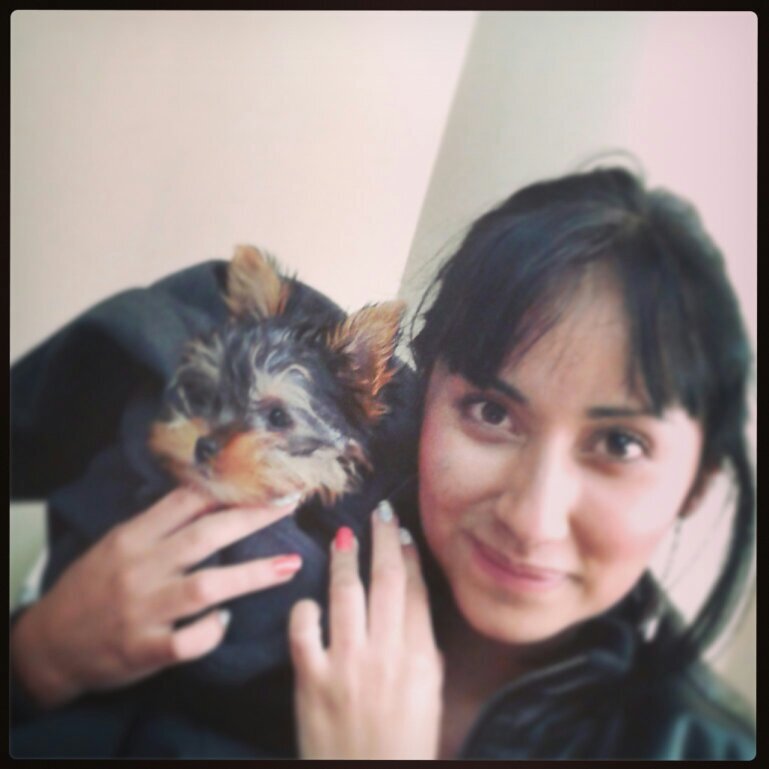 Jenniely1's profile picture. Estudiante , Cristiana