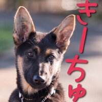 KAZZZY (@0605cindy) Twitter profile photo