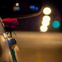 سارا المالكي (@0987123455) Twitter