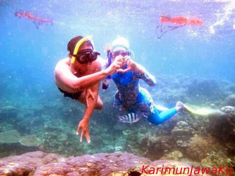 Open trip karimunjawa island,pilihan paket #Reguler AC #backpaker #superbackpaker #Paket honeymoon #Paket Diving #Paket pre wedding . Cp : 082136706067/26B58927