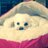 CoachAbbyElder's profile image