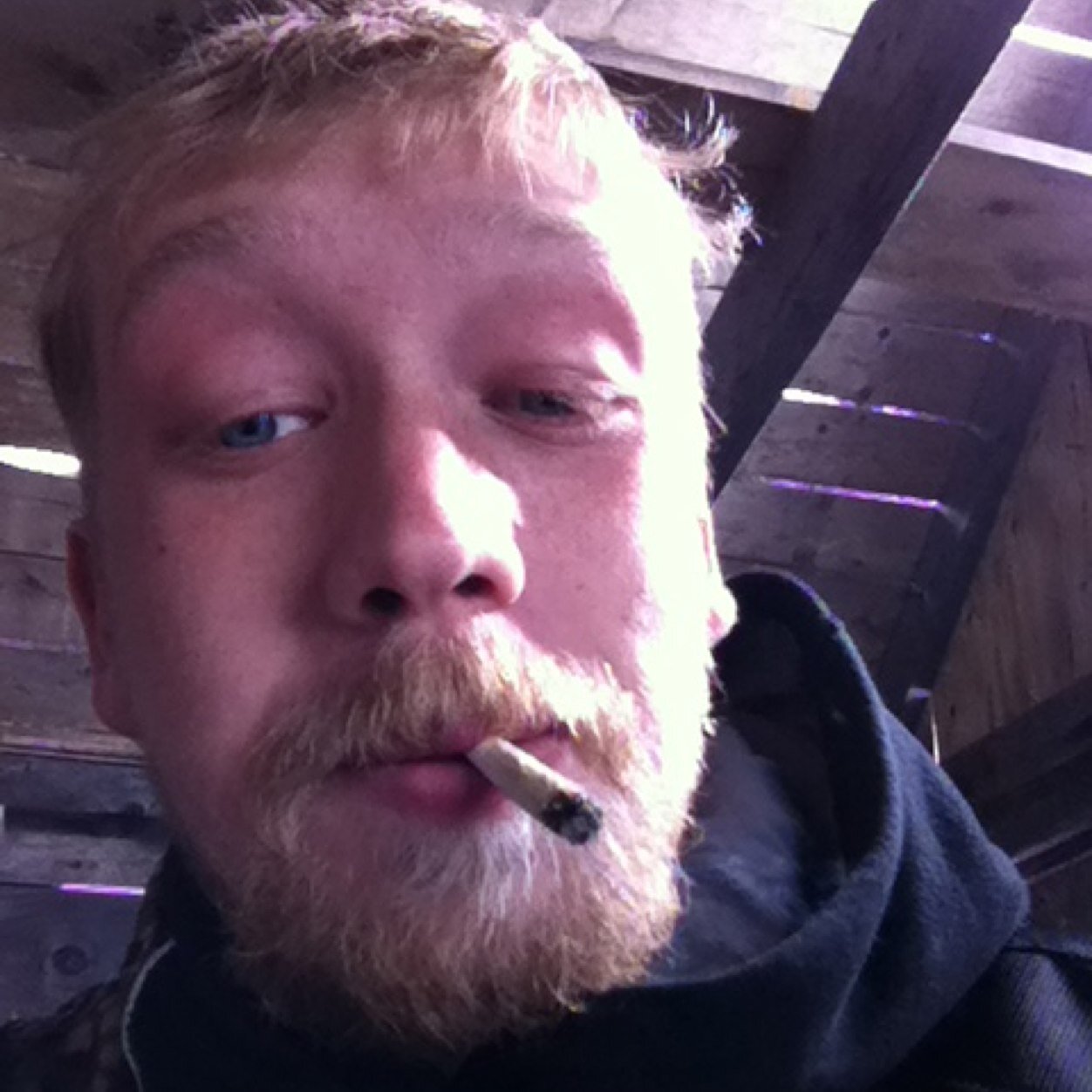 bombswest19's profile picture. 