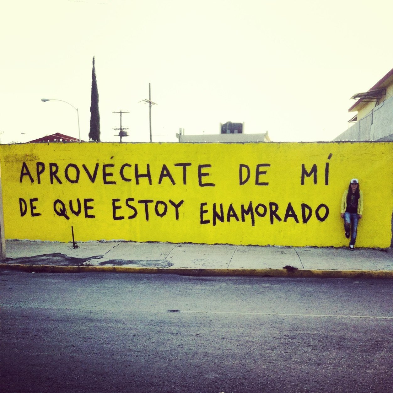 Mil maneras para enamorarte y un millon de años para olvidar....