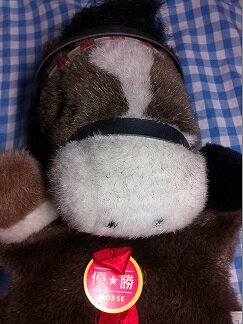趣味は30年続けているスキーです。白黒のキャバリアを飼っているので犬好きの方と仲良くなれたら嬉しいです。
コチラは私の健康ブログhttp://t.co/zaPemO2zDF