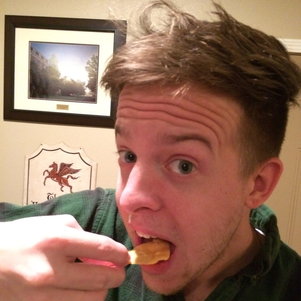 HairOfGregS's profile picture. 