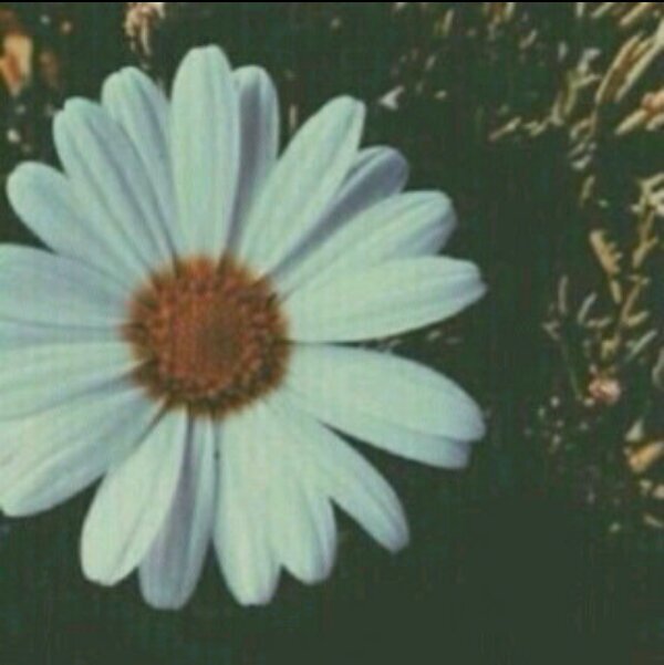 ‏هذا حسابي الجديد *بدل حسابي الاول* - BDAYER_16 -