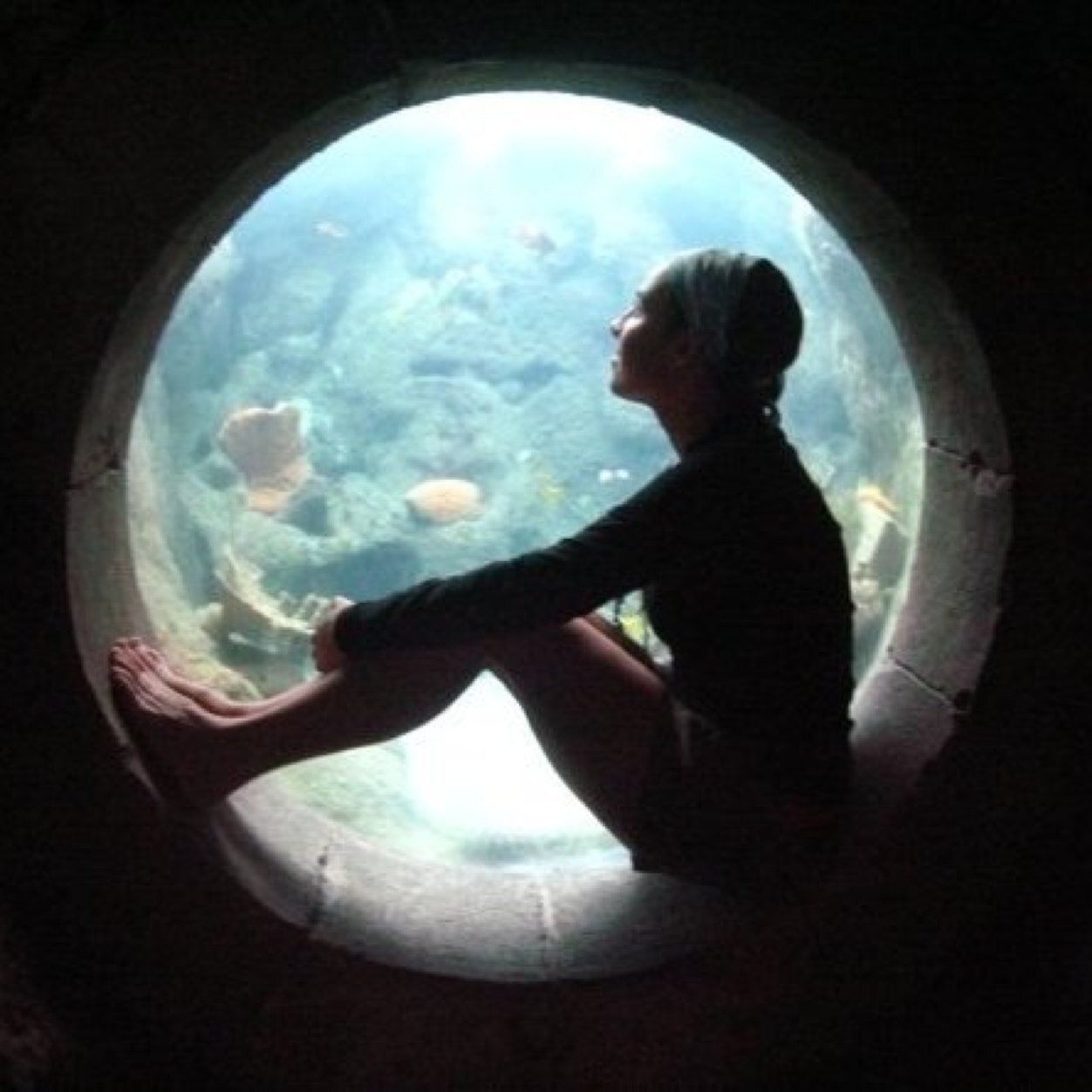 chiefjko's profile picture. Artist | Sailor | Wanderluster