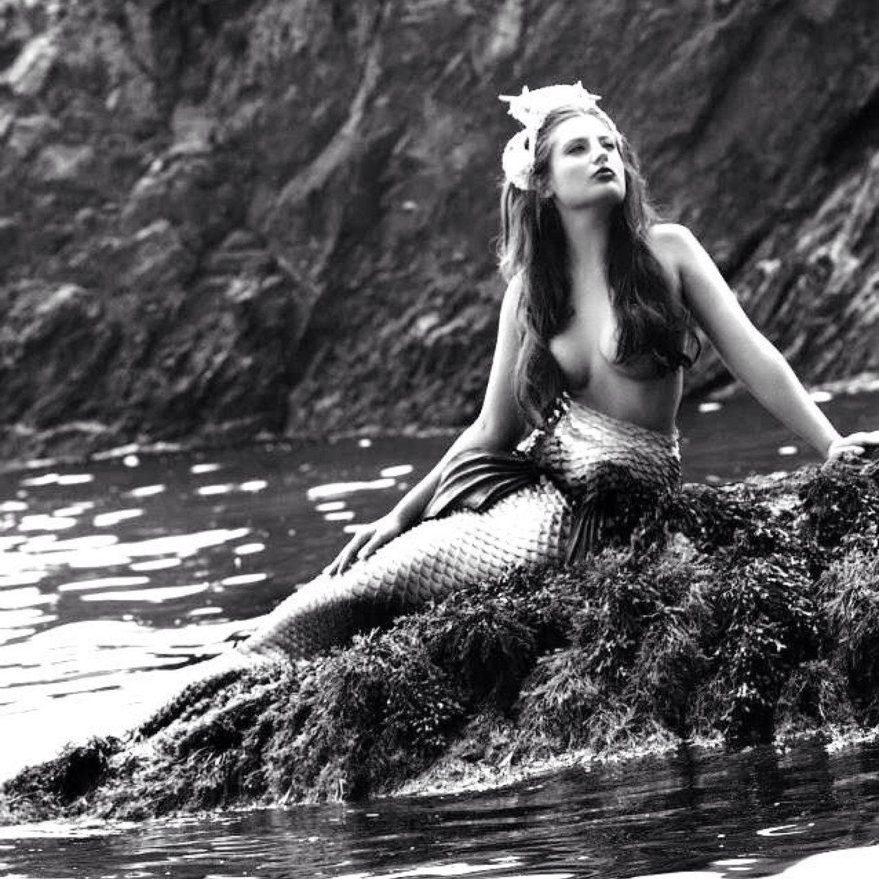 human by land, mermaid by sea. #teammermaid #babyanon ☀️ will follow any fellow mermaids. don't forget to turn on notifications!