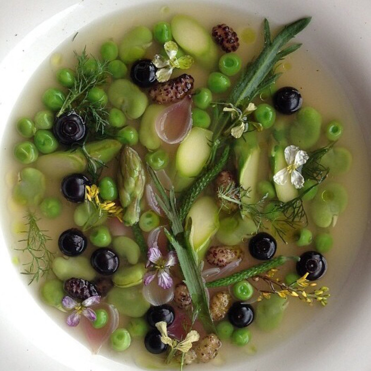 Joe Rolle (@joedariorolle) | Twitter