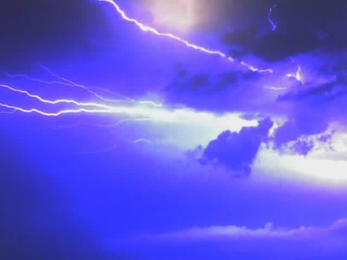 sexylicious21's profile picture. 