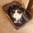 JudyCampbell49's profile image