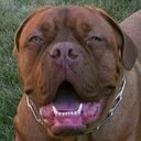 Chris Bye - @CityTyrant - Twitter