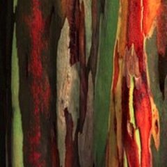 oteyhouse's profile picture. 