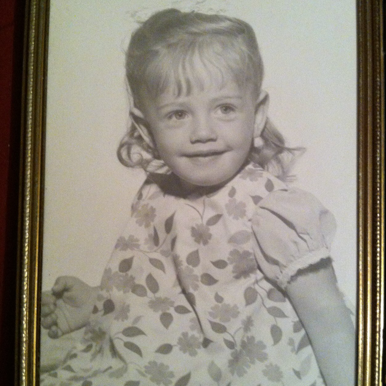 Parent, Grandparent, music lover, writer, comic relief.