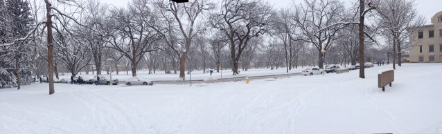 s_alsarheed's profile picture. 