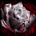 Late (@latenozi) Twitter profile photo