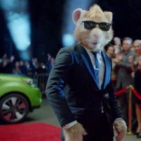 Бобровый лог, 24 мая 2014 года, 14.00
Презентация KIA SOUL от КИА-центра Красноярск