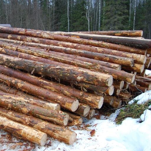vtluk's profile picture. Vertical Timber Ltd. Exporter, Importer and Producer of Russian Softwoods. Fully compliant with EUTR.