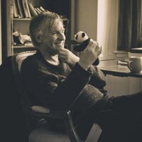 David Pearce (@webmasterdave) 's Twitter Profile