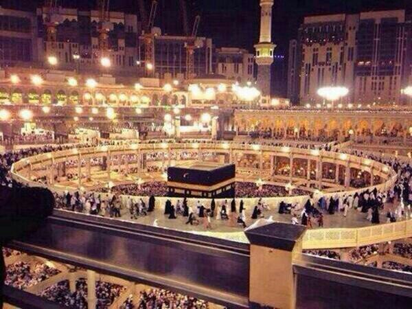 03e187c6c03d4fb's profile picture. 