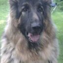 Jackie Willis - @f5934f1ee8ce4eb - Twitter