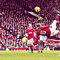 Dominik Stępień (@dominik797) 's Twitter Profile