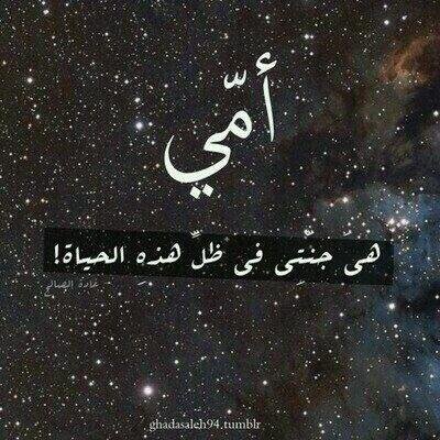 LafeSaad33's profile picture. 