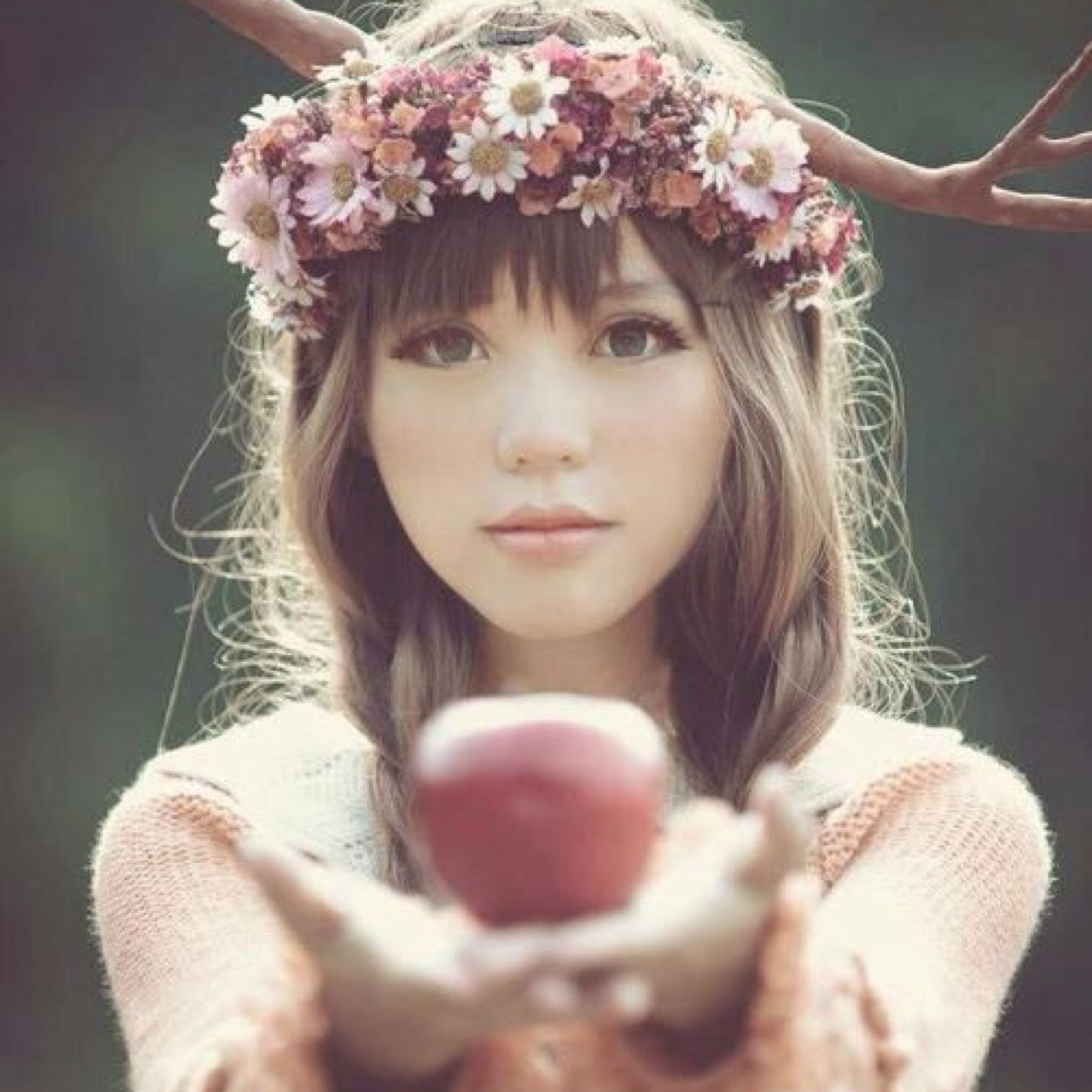 miwa/SonarPocket/UVERworld