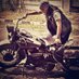 ipoet kusumonegoro (@ipoet7) Twitter profile photo