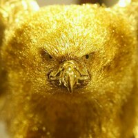 GOLDFENIXGOLD(@GOLDFENIXGOLD) 's Twitter Profile Photo