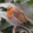seanbo_uk's profile image