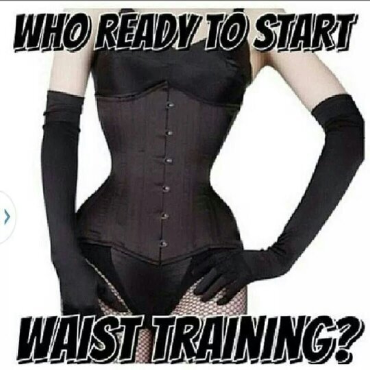 quality waist cinchers, at affordable prices. It's time to get waisted