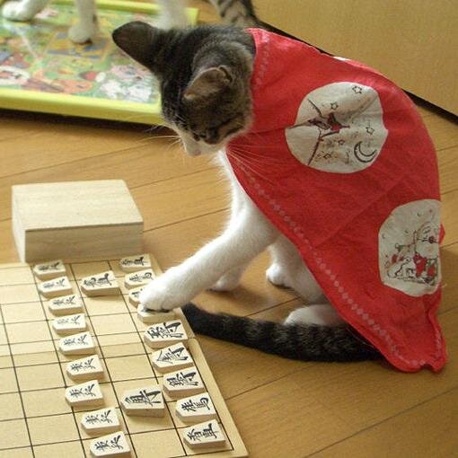 主にインドア派です。
甘いもの中毒から抜けだせずにいます。