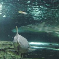  Keonho Kim (@keonho997) 's Twitter Profile