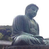 リュウダイ (@rd_bk) 's Twitter Profile