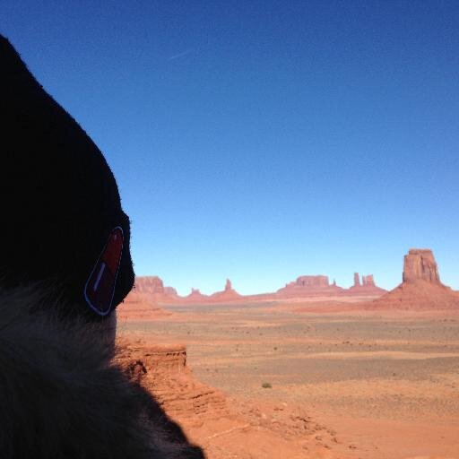 MeganOneDrop's profile picture. I'm Repping it, World, That's a Definite