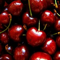 Hawys Williams (@hawysw) 's Twitter Profile