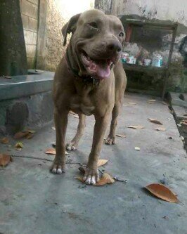 sapot14's profile picture. 