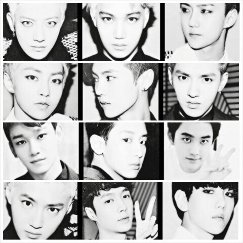 We are One ● One4EXO                                  Support OT10,  but always OT12 in my heart                                2NEXOworld