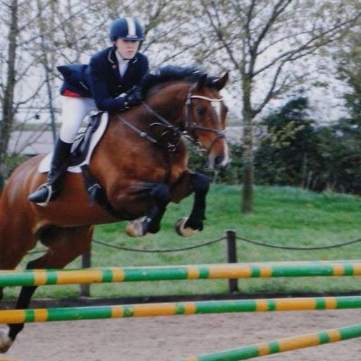 Amateur Showjumper, Groom ,Coach and Student. Life full of post stick notes and chimp control.
