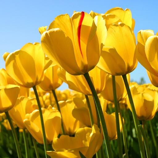 [takip edeni takip ederim]