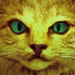 ValerieEyckmans's profile picture. Schrijfster van Verloren Maandag, De Dierbaren en hopen andere ongein. http://t.co/DEW1H4gEw6, http://t.co/zgYIgNH4EV