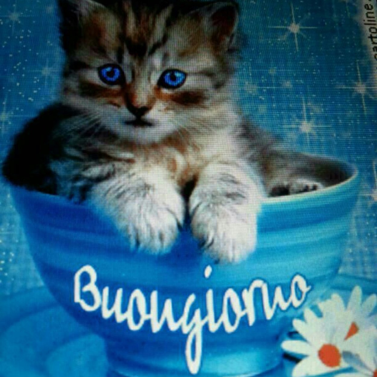 enzo_edr953's profile picture. 