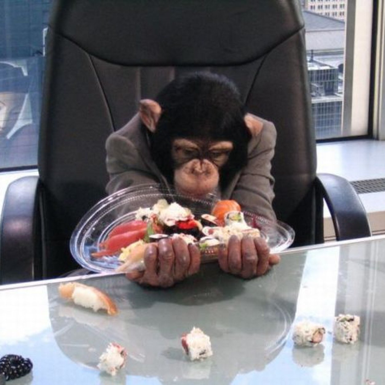 Just a bored office chimp!!